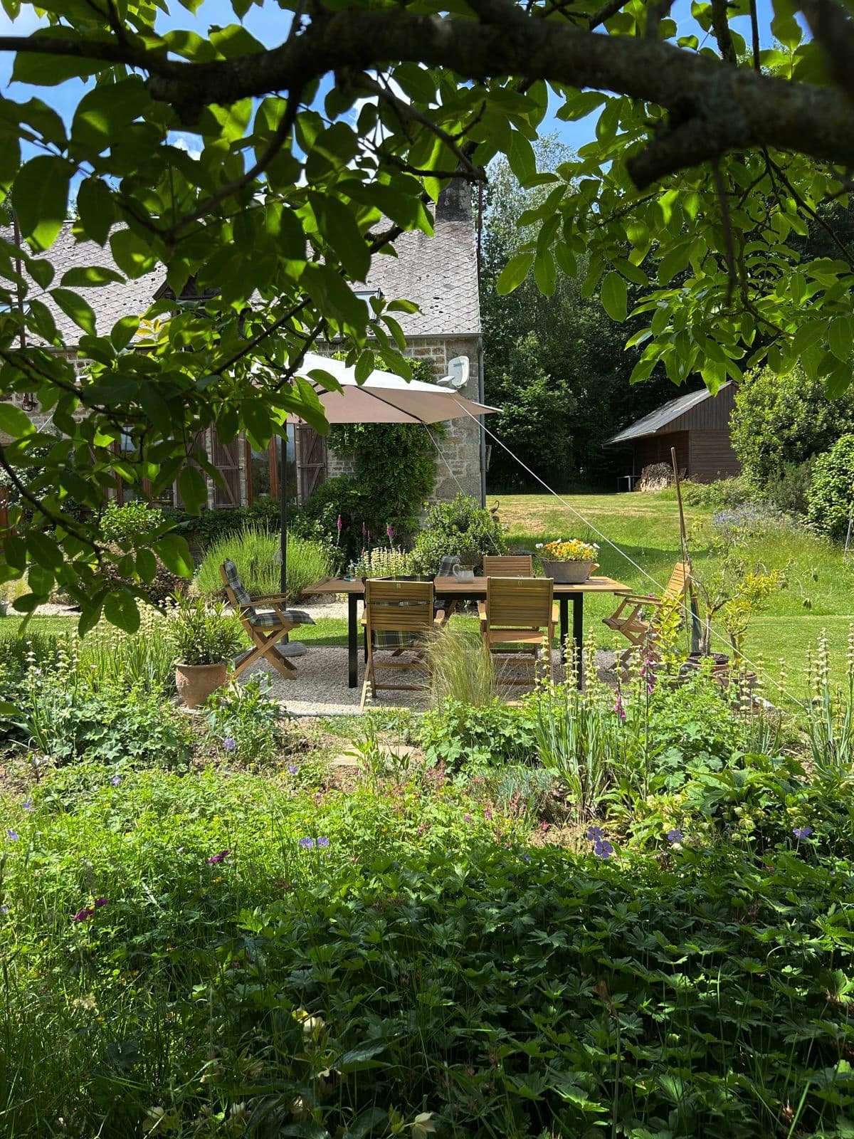 Outdoor dining table set under orchard tree in Normandy