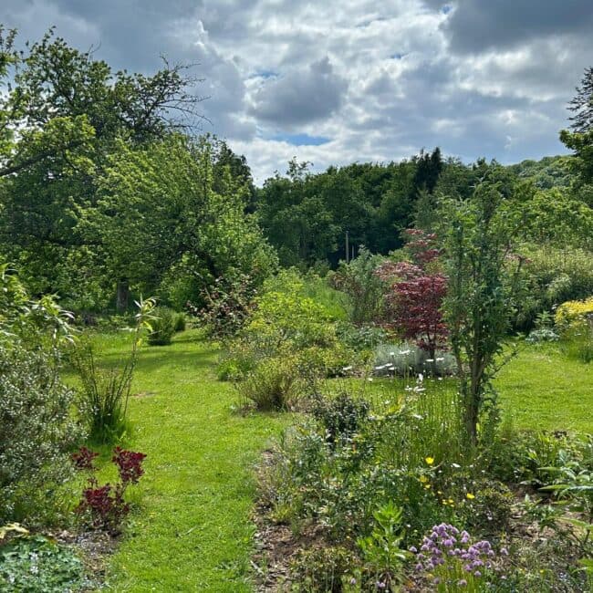 Scenic Normandy garden and trees