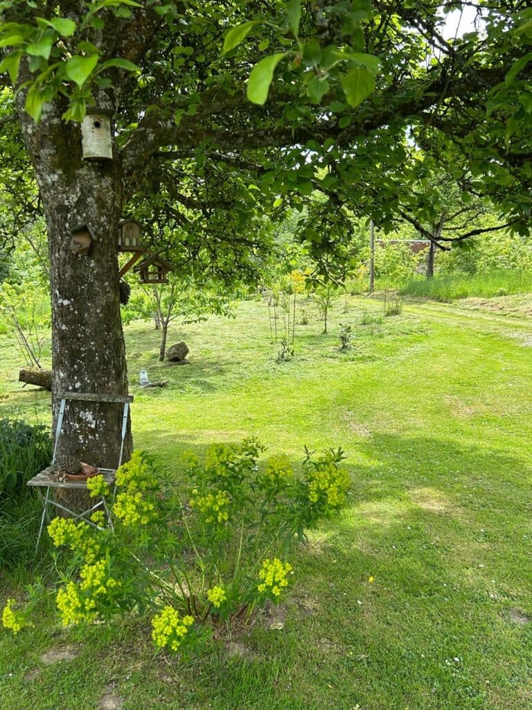 Normandy orchard tree and private garden